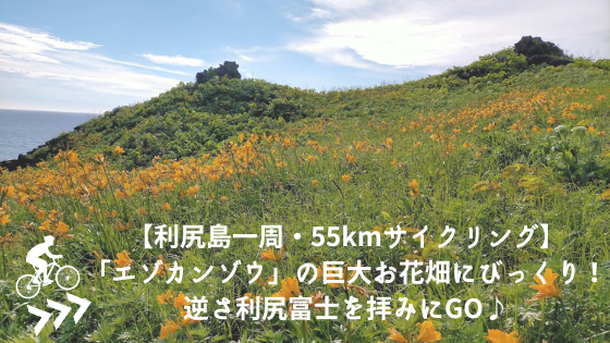 【利尻島一周・55kmサイクリング】「エゾカンゾウ」の巨大お花畑にびっくり！逆さ利尻富士を拝みにGO♪